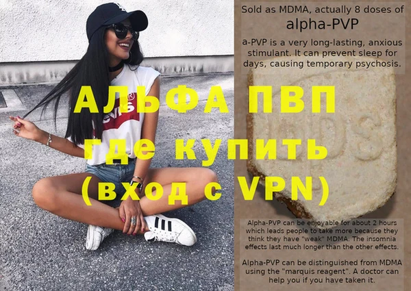 сатива Белокуриха