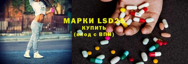 сатива Белокуриха