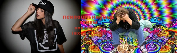 сатива Белокуриха