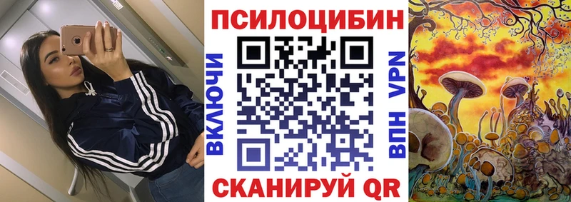 Галлюциногенные грибы Cubensis  MEGA ONION  Будённовск 