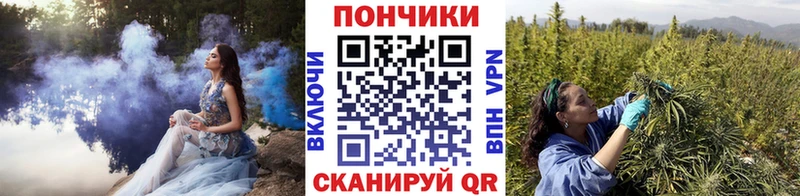 продажа наркотиков  Будённовск  Конопля ГИДРОПОН 